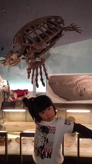 200104 福井恐竜博物館 (24) 200104 福井恐竜博物館 (24)