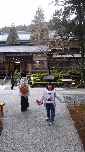 200104 福井恐竜博物館 (24) 200104 福井恐竜博物館 (24)