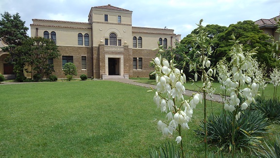 190611 中庭・平井先生 (9) 190611 中庭・平井先生 (9)