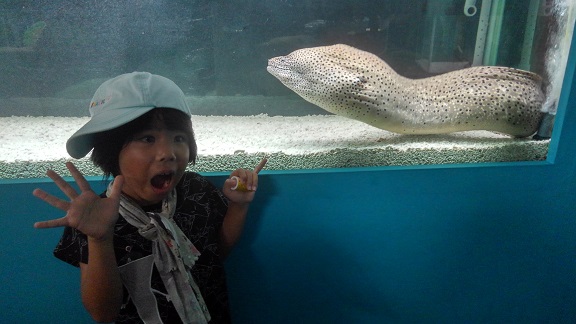 190817 境港2日目 (37) 190817 境港2日目 (37)