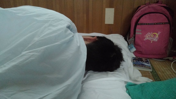 190824 石垣島初日 (6) 190824 石垣島初日 (6)