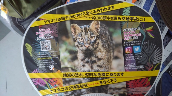 190824 石垣島初日 (6) 190824 石垣島初日 (6)