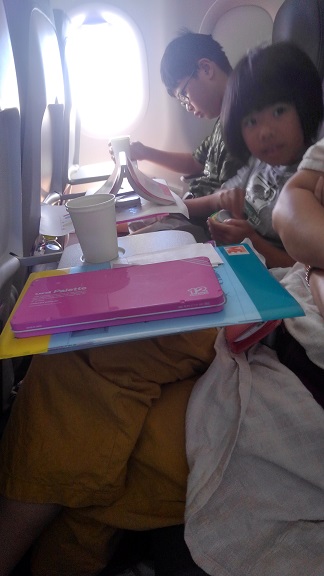 190827 石垣島最終日 (4) 190827 石垣島最終日 (4)