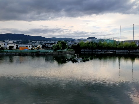 210904　あさ特選・池 (2)