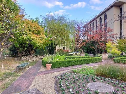 211115 大学 (3) 211115 大学 (3)