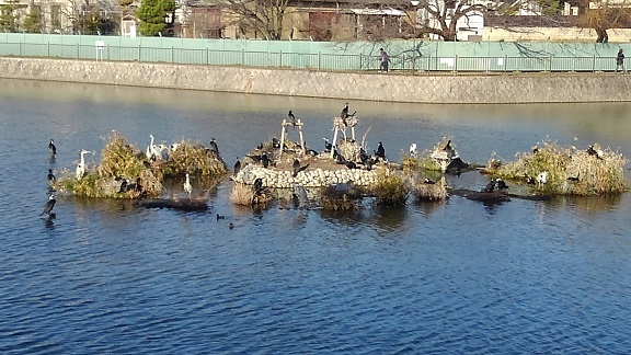 210216 新池 (11) 210216 新池 (11)