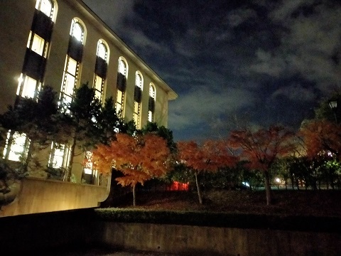 211203 大学 (1) 211203 大学 (1)