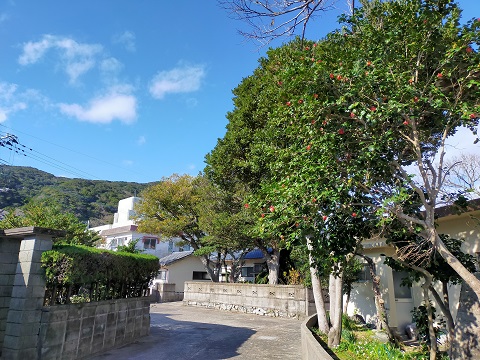 220102 散歩 (5) 220102 散歩 (5)