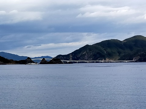 220102 散歩 (15) 220102 散歩 (15)