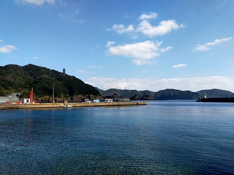 220103 かめのて (2) 220103 かめのて (2)