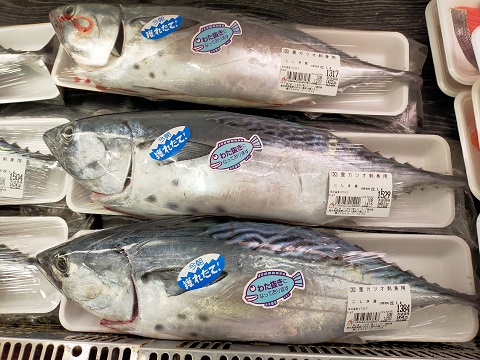 220103 かめのて (14) 220103 かめのて (14)