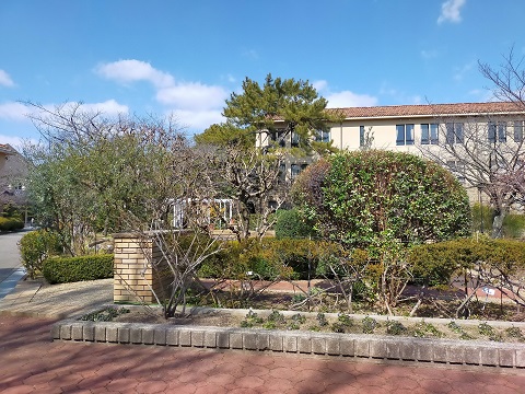 220225 大学 (1) 220225 大学 (1)