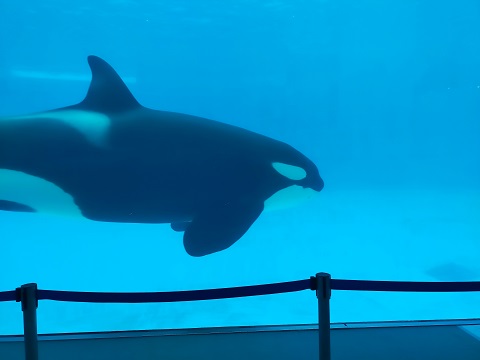 220309 名古屋2日目1 (35) 220309 名古屋2日目1 (35)