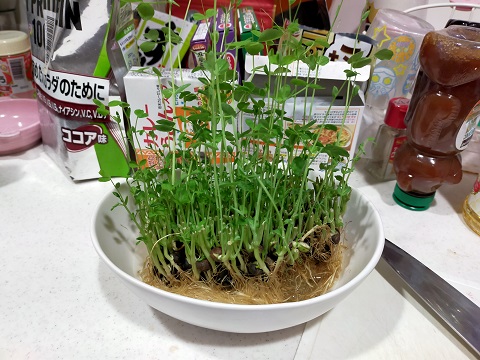 220324 経済最終 (1) 220324 経済最終 (1)