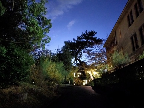 211102 大学 (2) 211102 大学 (2)