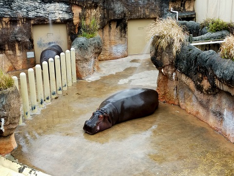 211227 鹿児島3日目 (3) 211227 鹿児島3日目 (3)