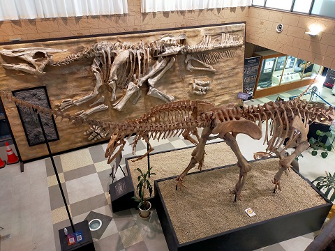 211228 島1日目 (1) 211228 島1日目 (1)