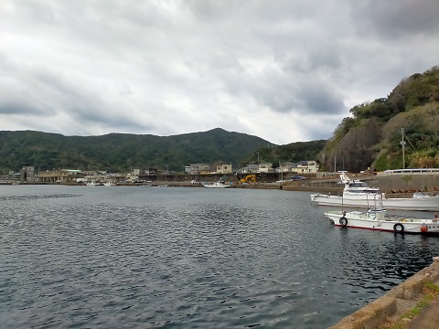 211229 島2日目 (8) 211229 島2日目 (8)