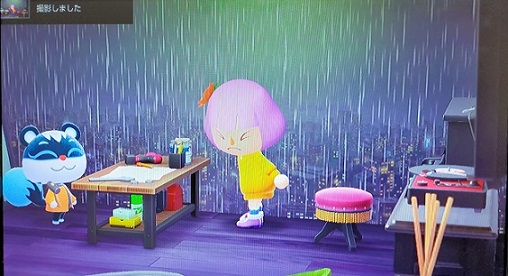 211230 島3日目 (3) 211230 島3日目 (3)