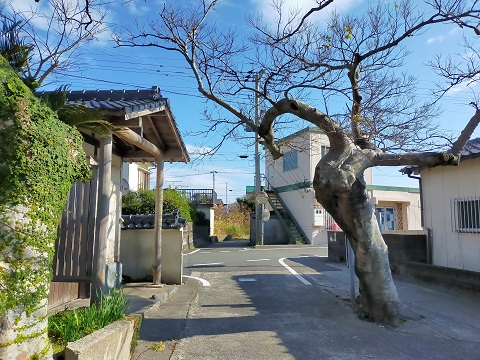 220102 散歩 (5) 220102 散歩 (5)