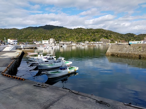 220102 散歩 (5) 220102 散歩 (5)