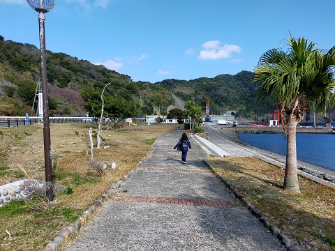 220103 かめのて (2) 220103 かめのて (2)