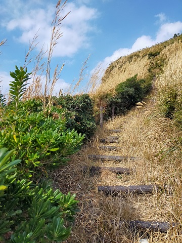 220104 展望台・釣り (28) 220104 展望台・釣り (28)