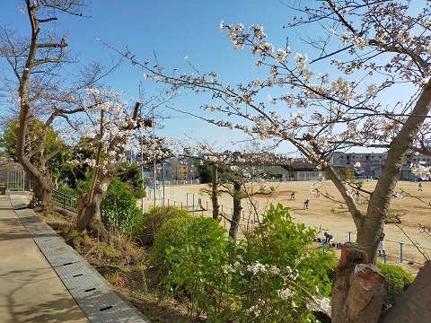 220327 選挙 (2) 220327 選挙 (2)