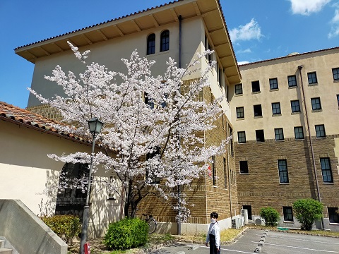 220404 大学・妹新参 (2) 220404 大学・妹新参 (2)