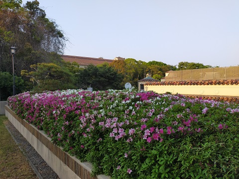 220419 大学 (3) 220419 大学 (3)