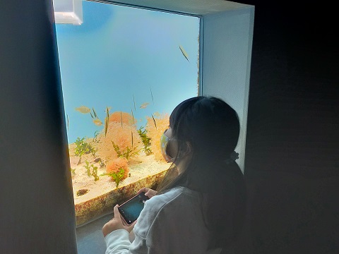 211226　鹿児島２日目 (1)