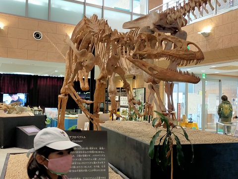 211228 島1日目 (1) 211228 島1日目 (1)