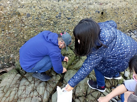 220103 かめのて (2) 220103 かめのて (2)