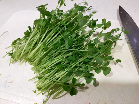 220311 研究室 (1) 220311 研究室 (1)