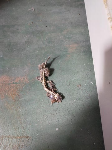 220501 再起動 220501 再起動