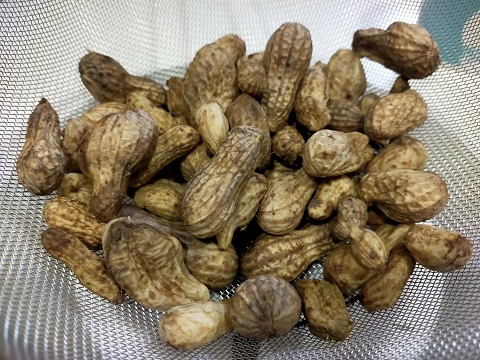 231028 北極百貨店 (5) 231028 北極百貨店 (5)