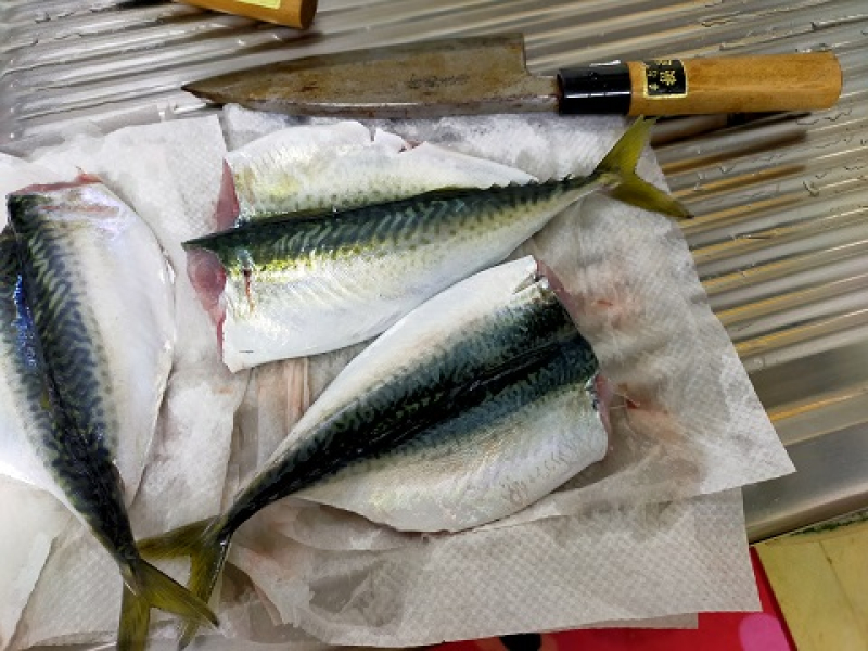 240217 島こども文化祭 (1) 240217 島こども文化祭 (1)