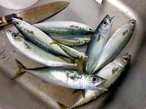 240217 島こども文化祭 (10) 240217 島こども文化祭 (10)