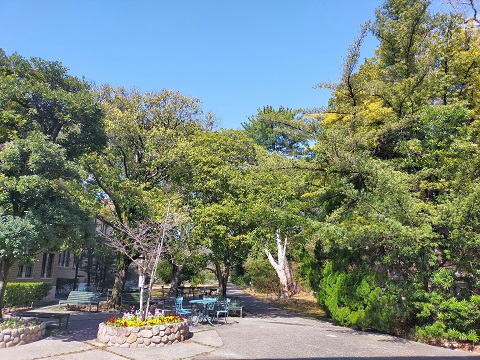 240228 大学 (2) 240228 大学 (2)