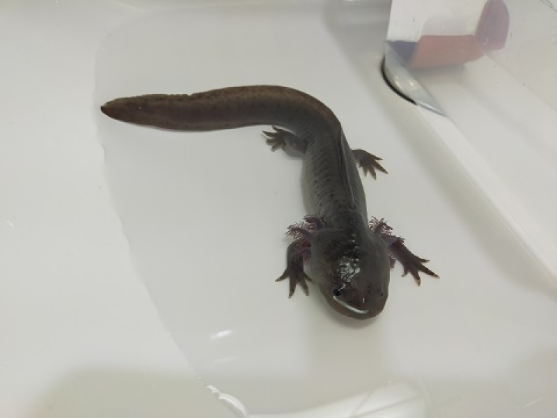 240316 ウパ (1) 240316 ウパ (1)