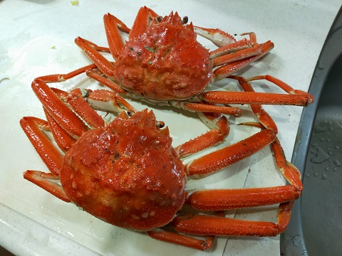 240330 ハンバーガー・ビール・カニ (5) 240330 ハンバーガー・ビール・カニ (5)