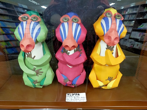 240423 マンドリル (1) 240423 マンドリル (1)