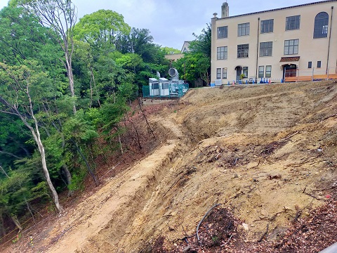 240430 大学 (2) 240430 大学 (2)