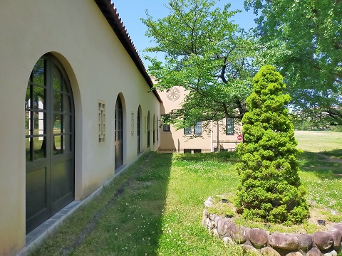 2400511 大学 (1) 2400511 大学 (1)