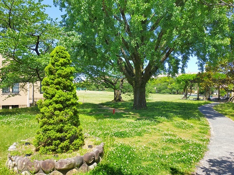 2400511 大学 (1) 2400511 大学 (1)