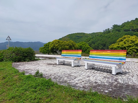 240520 島ベンチ・カタツムリ (7) 240520 島ベンチ・カタツムリ (7)