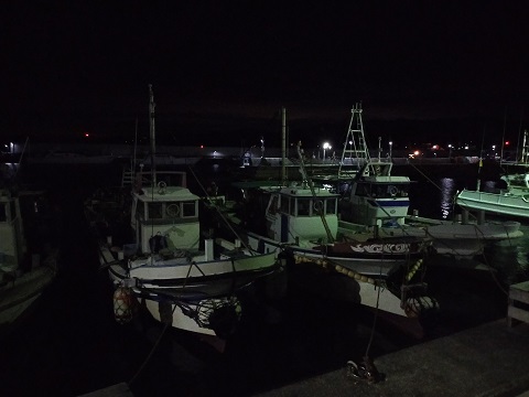 240530 妹新参 (21) 240530 妹新参 (21)