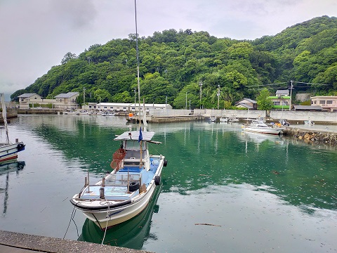 240531 西宮へ (1) 240531 西宮へ (1)