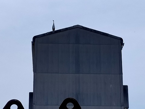 240611 島 (1) 240611 島 (1)