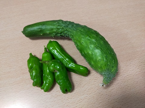 240709 野菜・うどーなつ (3) 240709 野菜・うどーなつ (3)